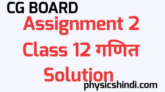Assignment 2 Class 12 Math Solution CG Board