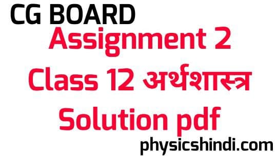 Assignment 2 Class 12 Arthshastra Solution CG Board