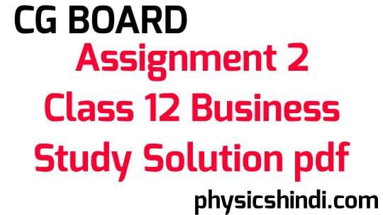 Assignment 2 Class 12 Business Study Solution CG Board