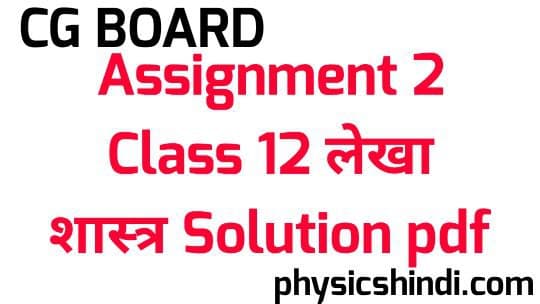 Assignment 2 Class 12 Lekhashastra Solution CG Board