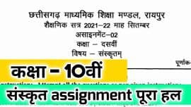 Assignment 2 Class 10 Sanskrit Solution CG Board