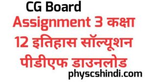 CG Board Assignment 3 Class 12 History Solution PDF Download 2021