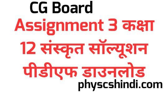 CG Board Assignment 3 Class 12 Sanskrit Solution PDF Download 2021