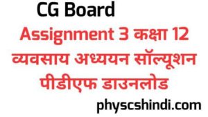CG Board Assignment 3 Class 12 Business Study Solution PDF Download 2021