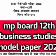 MP Board Class 12th Business Study Model Paper 2022 PDF