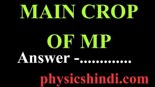 Main Crop Of MP