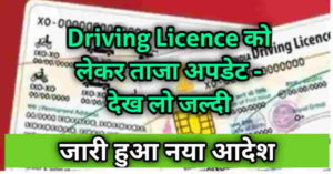 Driving License New Update 2022