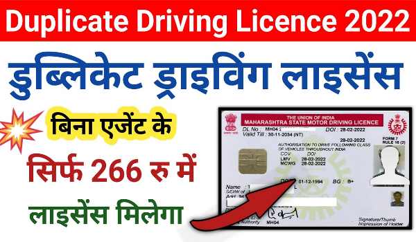 Duplicate Driving Licence Process