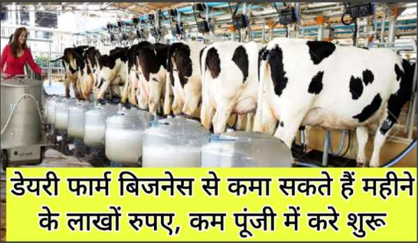 Dairy farm business