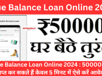 True Balance Loan Online 2024